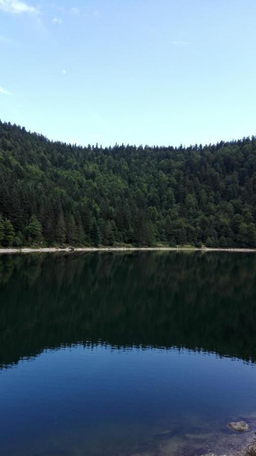 La Bressaude - Vacances-En-Vosges - Menage Compris La Bresse Exteriör bild
