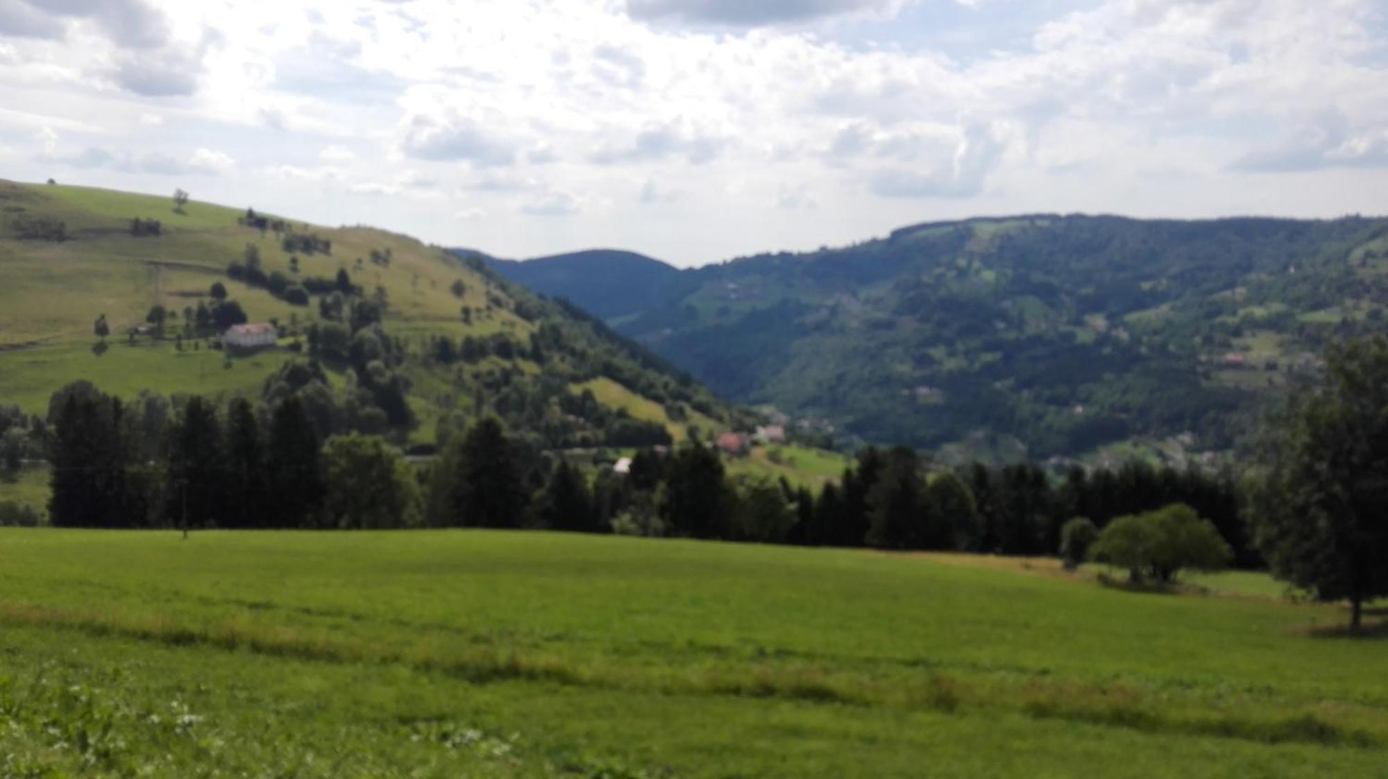 La Bressaude - Vacances-En-Vosges - Menage Compris La Bresse Exteriör bild