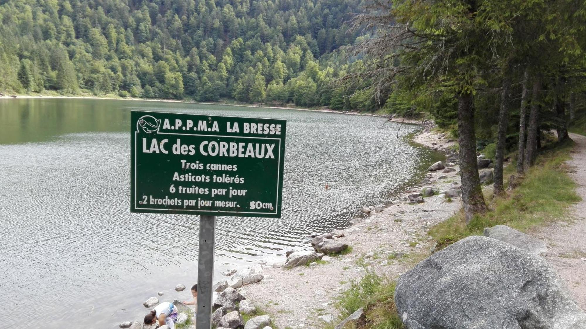 La Bressaude - Vacances-En-Vosges - Menage Compris La Bresse Exteriör bild